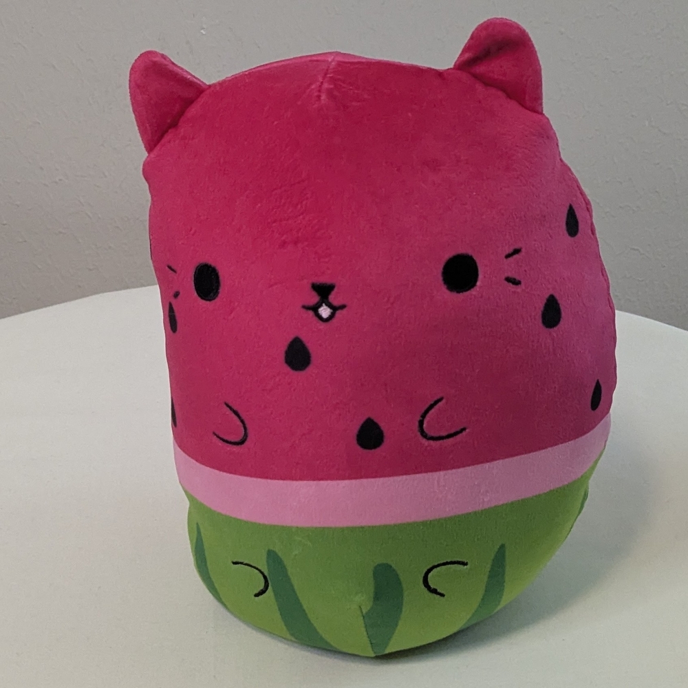 Cats Vs Pickles Water Meow Lon Watermelon Cat Beanbag Soft Plush Pink Green EUC